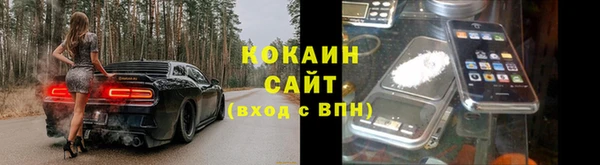 ГАЛЛЮЦИНОГЕННЫЕ ГРИБЫ Арсеньев