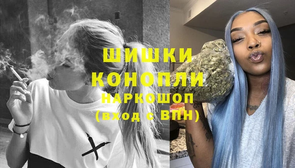 ГАЛЛЮЦИНОГЕННЫЕ ГРИБЫ Арсеньев