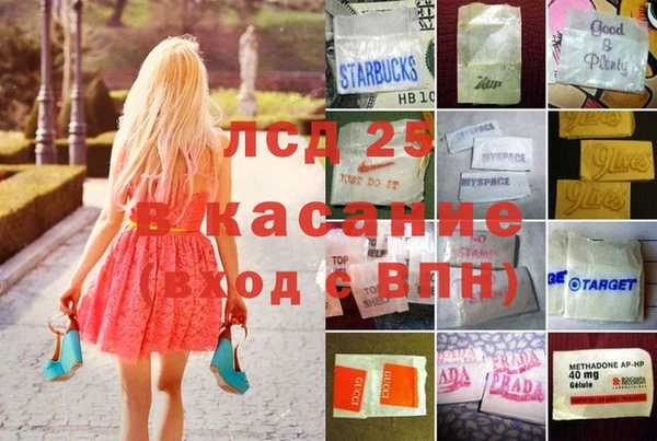 ГАЛЛЮЦИНОГЕННЫЕ ГРИБЫ Арсеньев