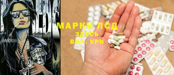 ГАЛЛЮЦИНОГЕННЫЕ ГРИБЫ Арсеньев