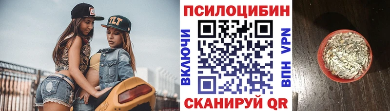 Псилоцибиновые грибы мицелий  Купить  Починок 